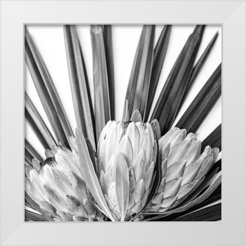 Protea White Modern Wood Framed Art Print by Urban Epiphany