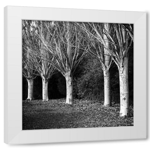 Winter Avenue Square White Modern Wood Framed Art Print by Urban Epiphany