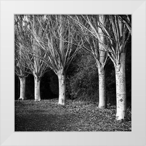 Winter Avenue Square White Modern Wood Framed Art Print by Urban Epiphany