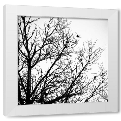 Winter Birds White Modern Wood Framed Art Print by Urban Epiphany