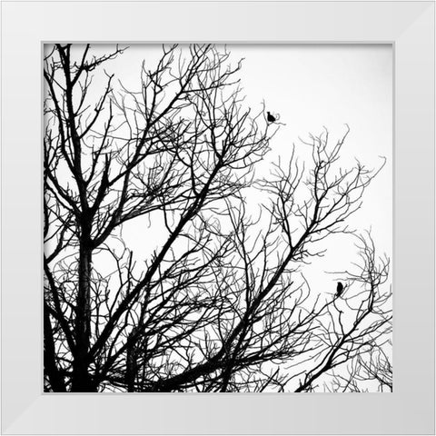 Winter Birds White Modern Wood Framed Art Print by Urban Epiphany