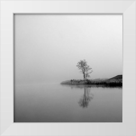 Winter Mist Square White Modern Wood Framed Art Print by Urban Epiphany