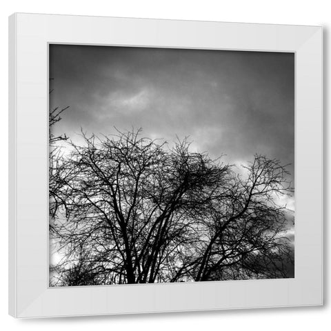 Winter Sky Square White Modern Wood Framed Art Print by Urban Epiphany
