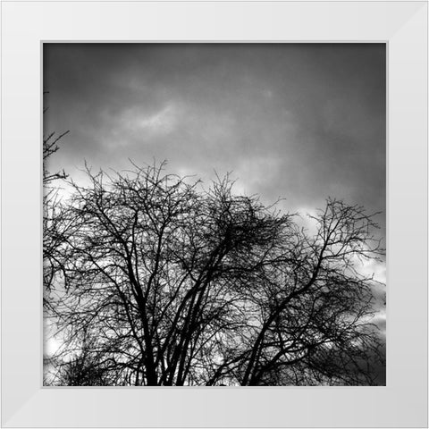 Winter Sky Square White Modern Wood Framed Art Print by Urban Epiphany
