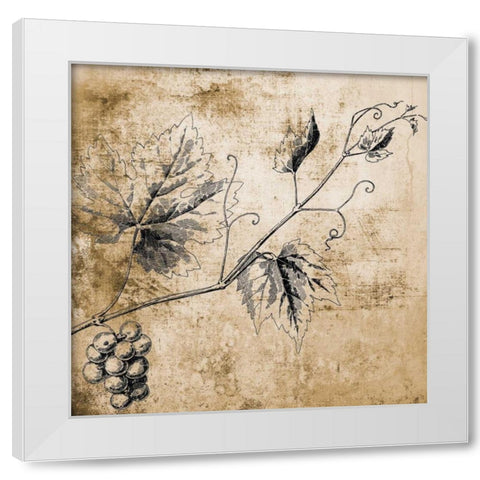 Grape Vine White Modern Wood Framed Art Print by Brown, Victoria