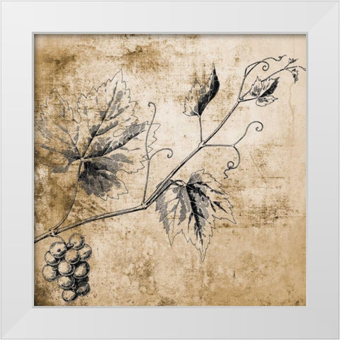 Grape Vine White Modern Wood Framed Art Print by Brown, Victoria