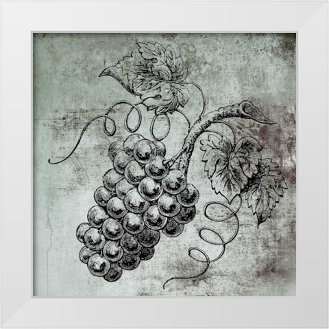 Vine Grapes White Modern Wood Framed Art Print by Brown, Victoria