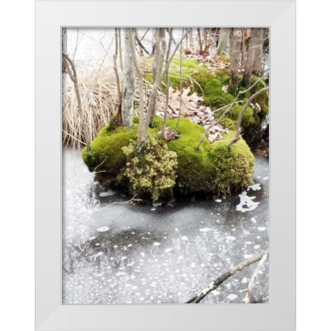 Winter Bog White Modern Wood Framed Art Print by Unknown