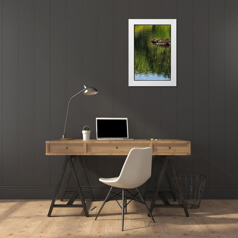 A Floating Garden White Modern Wood Framed Art Print by Foschino, Suzanne
