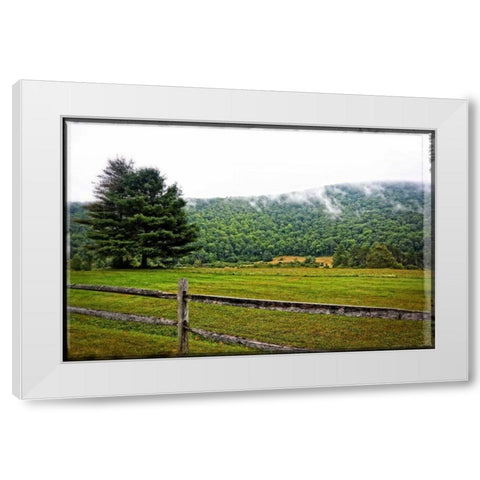 Morning Mountain Smoke White Modern Wood Framed Art Print by Foschino, Suzanne
