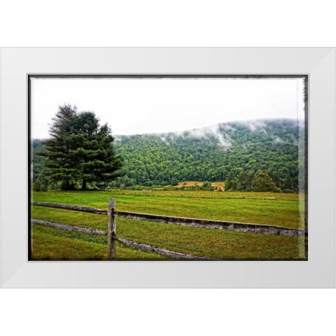 Morning Mountain Smoke White Modern Wood Framed Art Print by Foschino, Suzanne