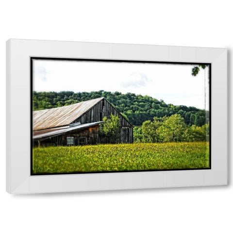 Country Barn 4 White Modern Wood Framed Art Print by Foschino, Suzanne