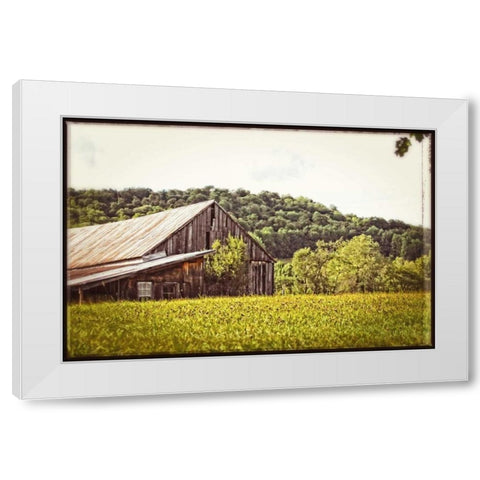 Country Barn 4 Vintage White Modern Wood Framed Art Print by Foschino, Suzanne