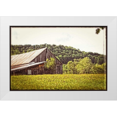 Country Barn 4 Vintage White Modern Wood Framed Art Print by Foschino, Suzanne