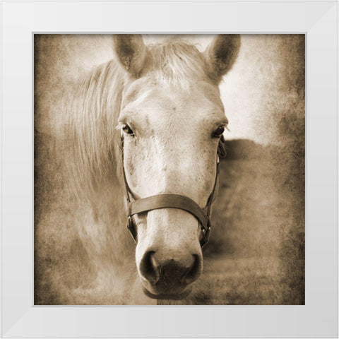 Good Boy White Modern Wood Framed Art Print by Foschino, Suzanne