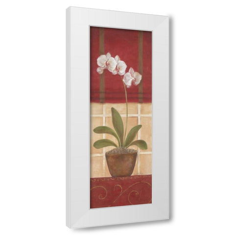 Window Wonders II White Modern Wood Framed Art Print by Tava Studios