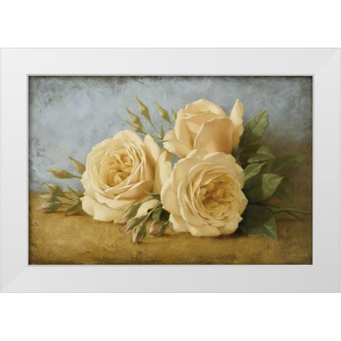 Roses from Ivan White Modern Wood Framed Art Print by Levashov, Igor