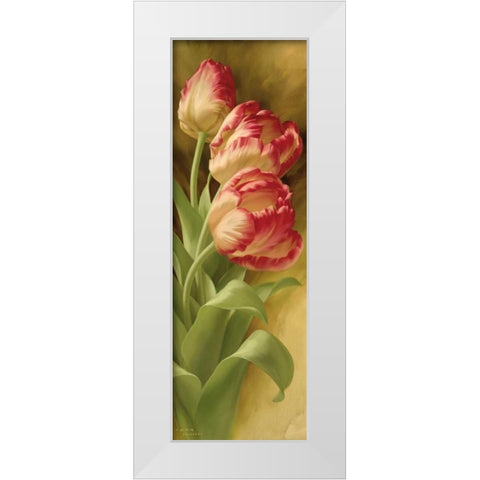 Springs Parrot Tulip II White Modern Wood Framed Art Print by Levashov, Igor