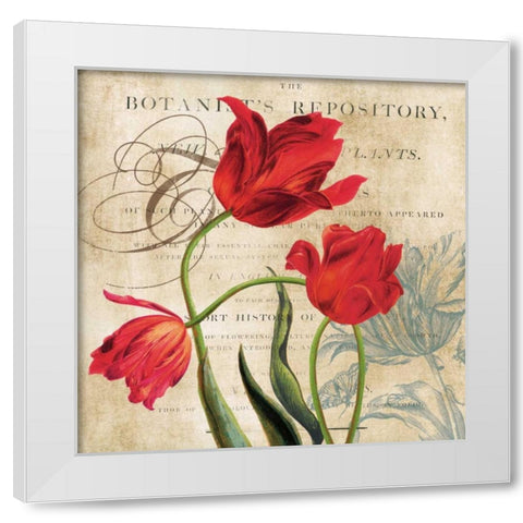 Botanists White Modern Wood Framed Art Print by Robinson, Carol