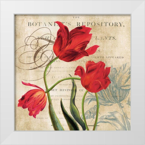 Botanists White Modern Wood Framed Art Print by Robinson, Carol