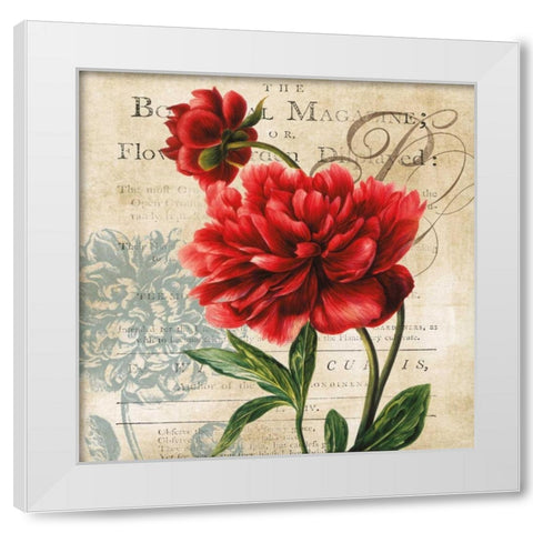 The Botanical White Modern Wood Framed Art Print by Robinson, Carol