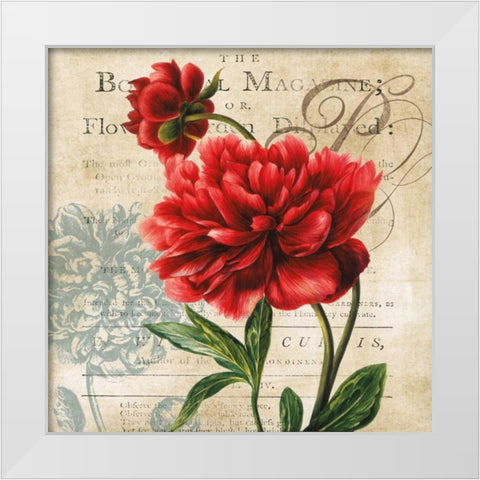 The Botanical White Modern Wood Framed Art Print by Robinson, Carol