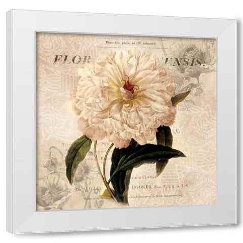 White Peony I White Modern Wood Framed Art Print by Robinson, Carol