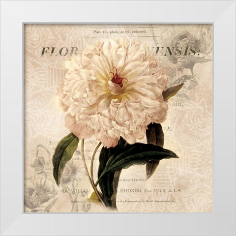 White Peony I White Modern Wood Framed Art Print by Robinson, Carol