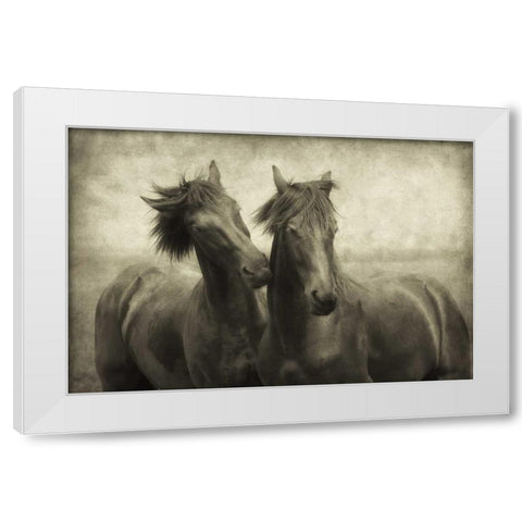 Horses Dont Whisper White Modern Wood Framed Art Print by Van de Goor, Lars