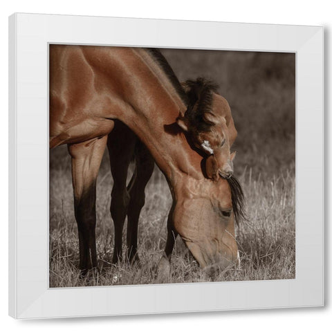 Unbroken Bond White Modern Wood Framed Art Print by Van de Goor, Lars