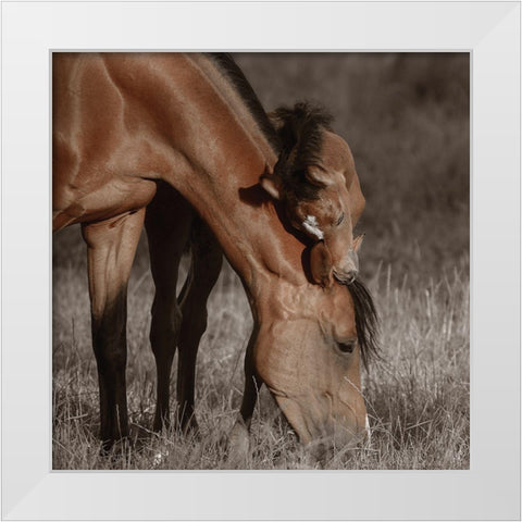 Unbroken Bond White Modern Wood Framed Art Print by Van de Goor, Lars