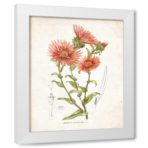 Botanical I White Modern Wood Framed Art Print by Nan
