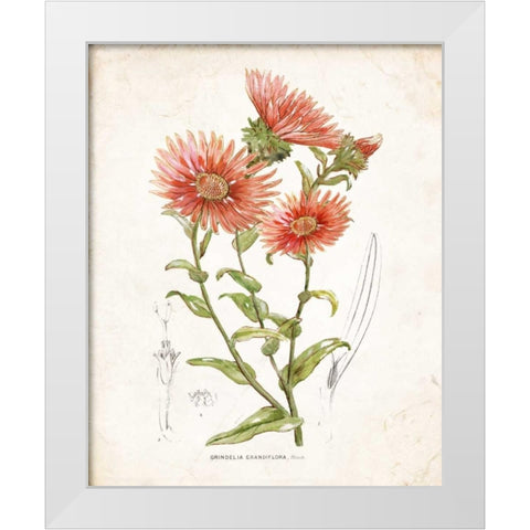Botanical I White Modern Wood Framed Art Print by Nan
