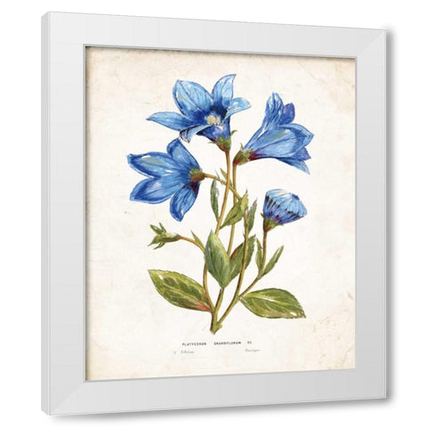 Botanical II White Modern Wood Framed Art Print by Nan