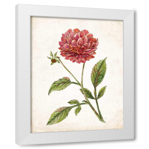 Scarlet Botanical I White Modern Wood Framed Art Print by Nan