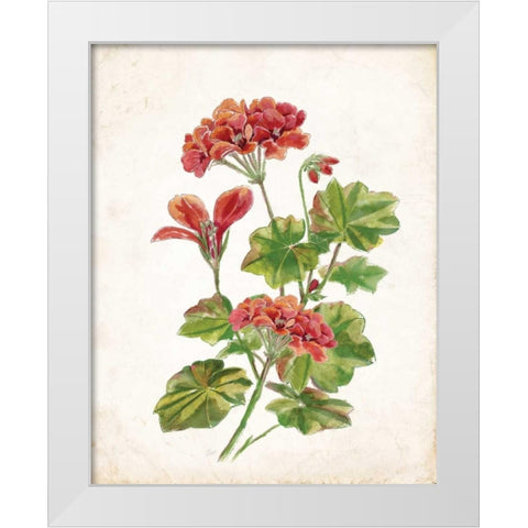Scarlet Botanical II White Modern Wood Framed Art Print by Nan