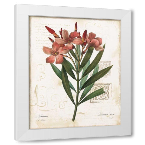 Laurier Rose White Modern Wood Framed Art Print by Robinson, Carol
