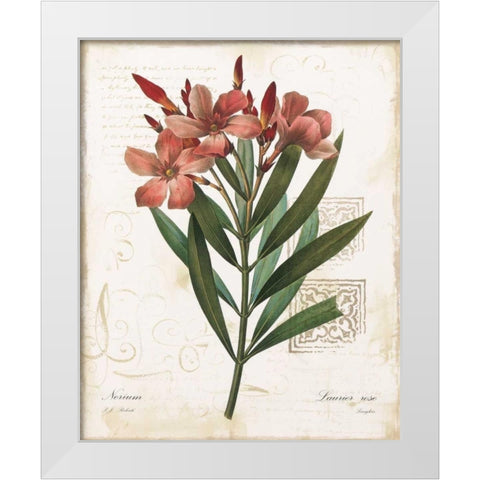 Laurier Rose White Modern Wood Framed Art Print by Robinson, Carol