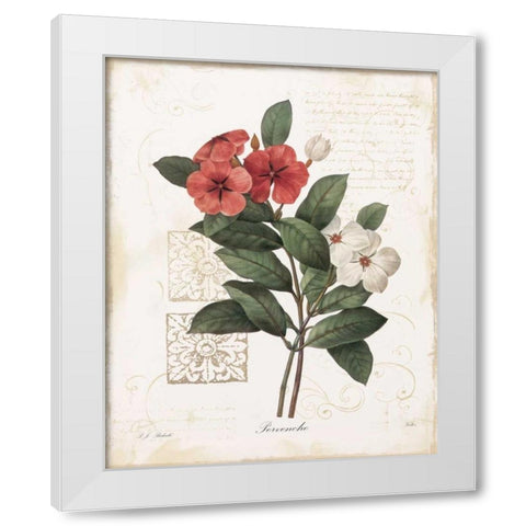 Pervenche White Modern Wood Framed Art Print by Robinson, Carol