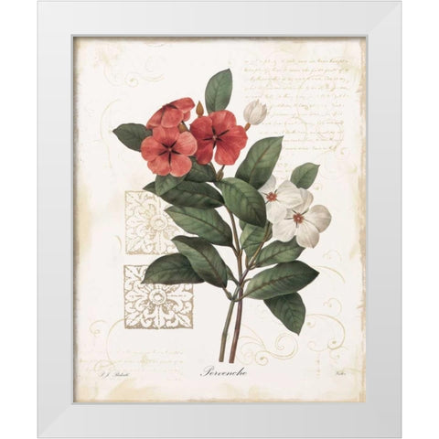 Pervenche White Modern Wood Framed Art Print by Robinson, Carol