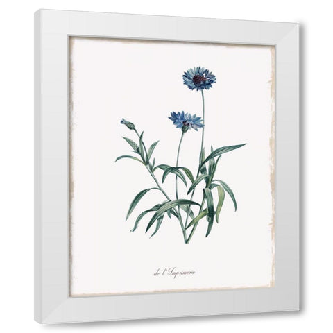 Imperial Blue White Modern Wood Framed Art Print by Donovan, Kelly