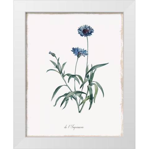 Imperial Blue White Modern Wood Framed Art Print by Donovan, Kelly