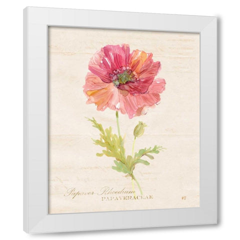 Botanical Poppy White Modern Wood Framed Art Print by Robinson, Carol
