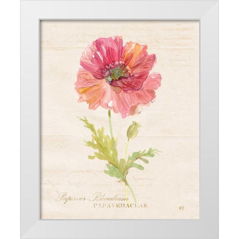 Botanical Poppy White Modern Wood Framed Art Print by Robinson, Carol