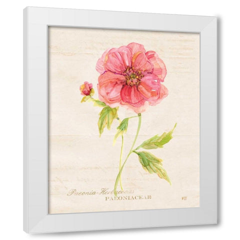 Botanical Peony White Modern Wood Framed Art Print by Robinson, Carol