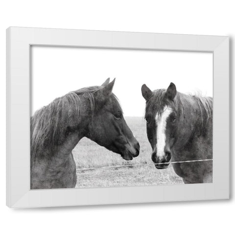 Wild Pastures White Modern Wood Framed Art Print by Robinson, Carol