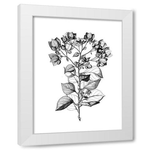 Botanical Black and White Modern Wood Framed Art Print by Donovan, Kelly