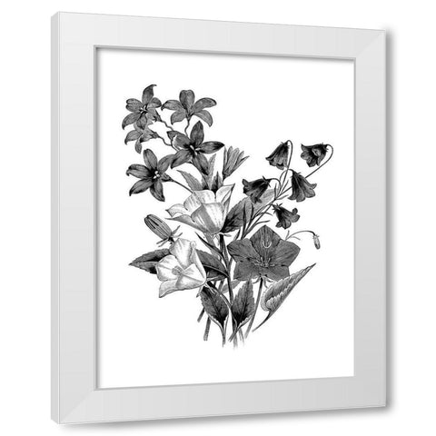 Botanical Black and White Modern Wood Framed Art Print by Donovan, Kelly