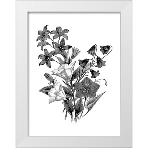 Botanical Black and White Modern Wood Framed Art Print by Donovan, Kelly