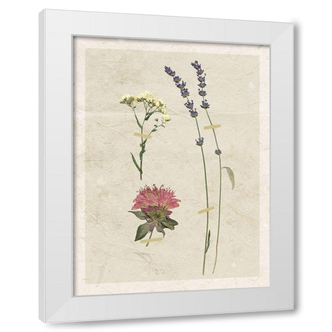 Pressed Lavender I White Modern Wood Framed Art Print by Robinson, Carol